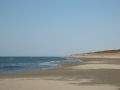 『砂浜全景』のイメージ